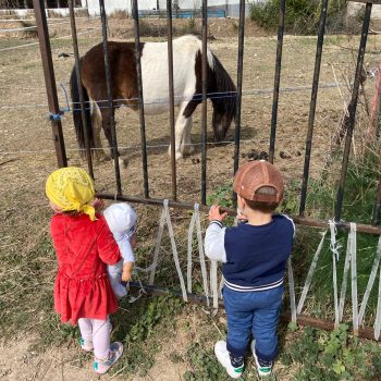 enfant accompagnement socio educatif centre equestre